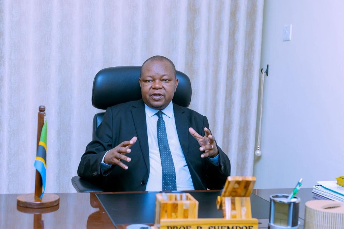 Arusha summit puts Tanzania&rsquo;s primary healthcare reforms in spotlight